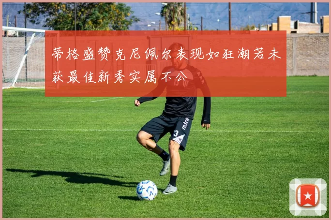 蒂格盛赞克尼佩尔表现如狂潮若未获最佳新秀实属不公
