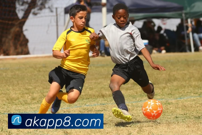 App Interface Preview